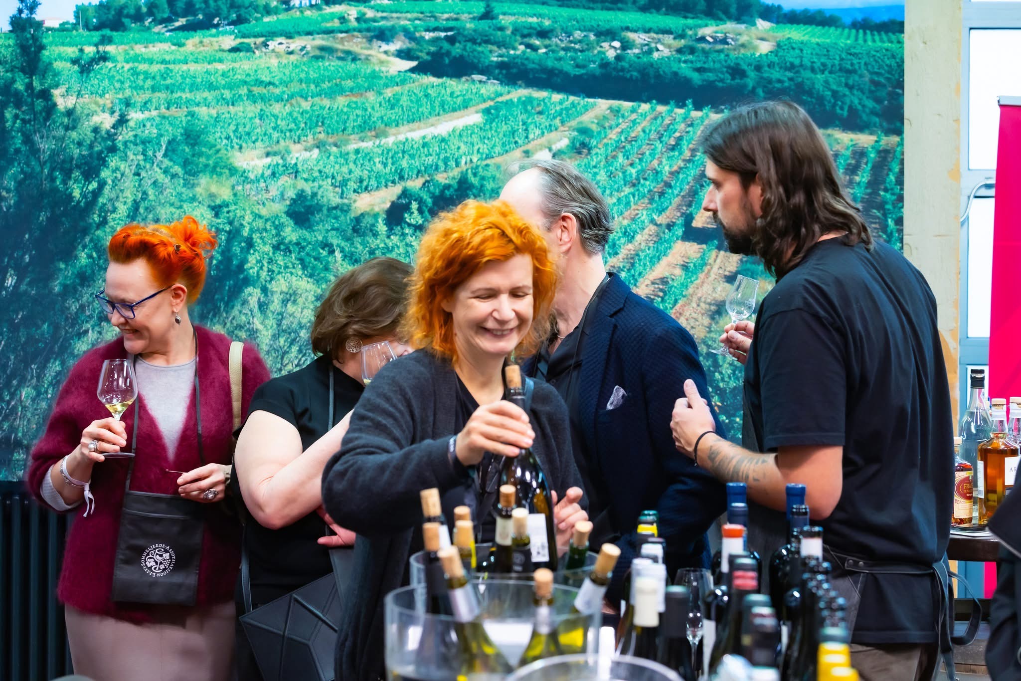 Tallinna XI Veinimess 